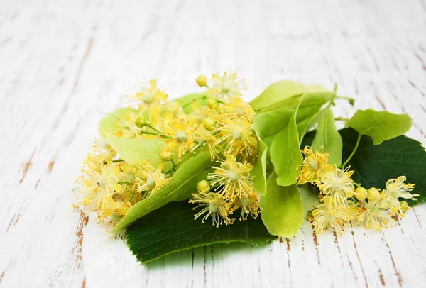 Linden flowers on a table — Stock Photo, Image
