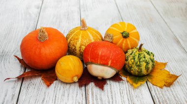 kabaklar ve yaprakları