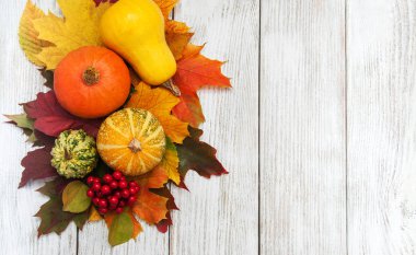 kabak ve yaprakları