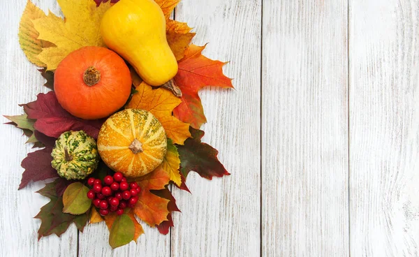 kabak ve yaprakları