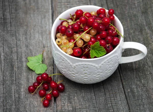 Frenk üzümü fincanla