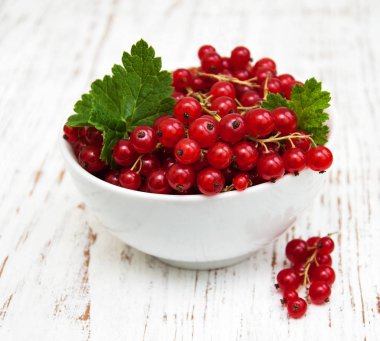 taze kırmızı kuş üzümü