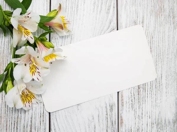 Papírový karton s květy kosatců — Stock fotografie