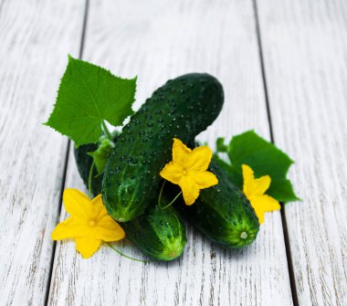 Bir tablo üzerinde taze salatalık