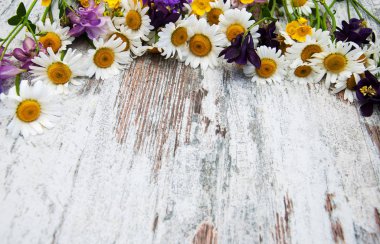 kır çiçekleri ile sınır