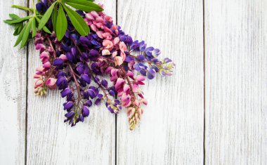 Bir masaya acı bakla çiçek