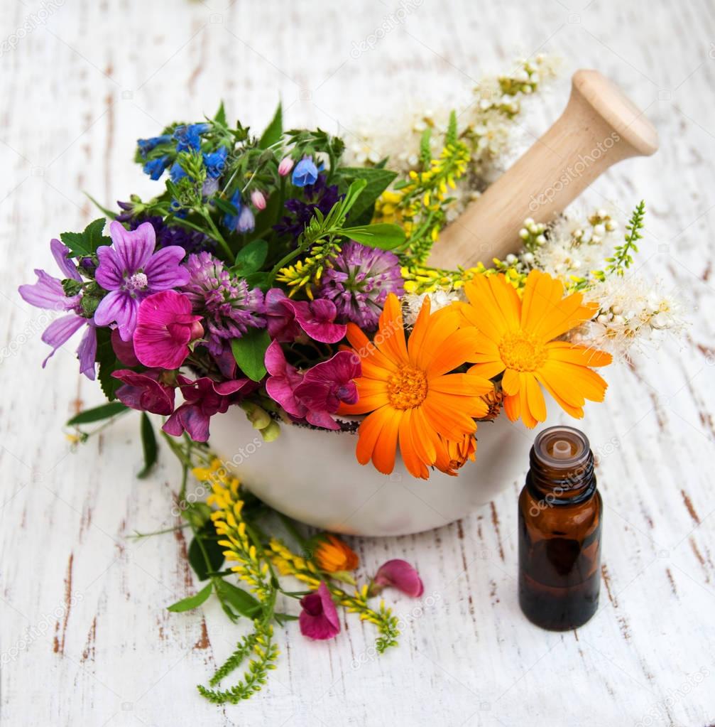 wild flower and herb leaf in mortar