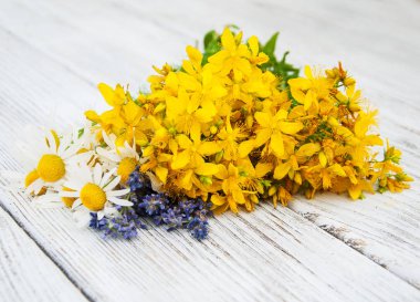 Ahşap arka planda taze bitkiler