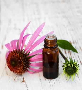 özü yağı ile mor Ekinezya şişesiyle