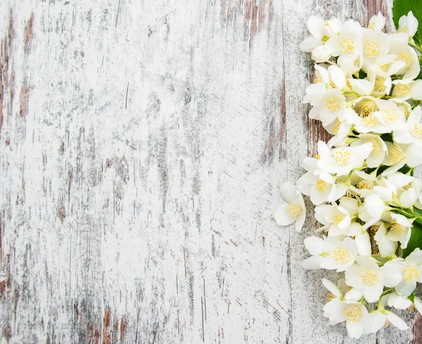 Frontera con flores de jazmín — Foto de Stock