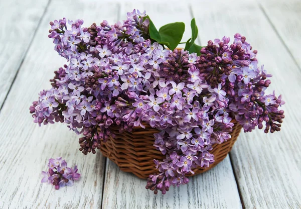 Korg med lila blommor — Stockfoto