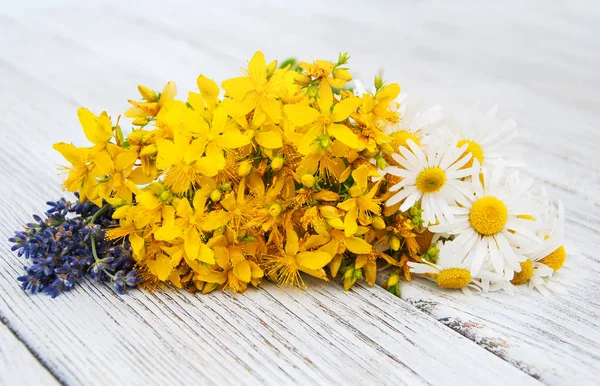 Ahşap arka planda taze bitkiler