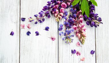 Bir masaya acı bakla çiçek