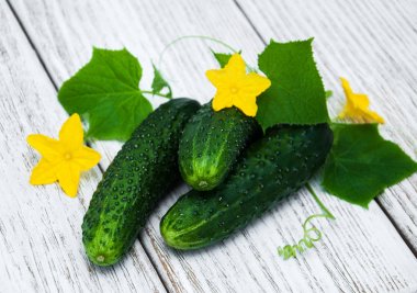 Bir tablo üzerinde taze salatalık