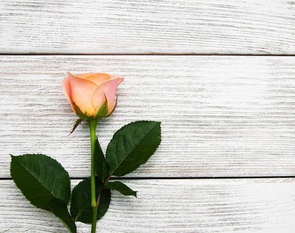 Rosa rosa sobre um fundo de madeira — Fotografia de Stock