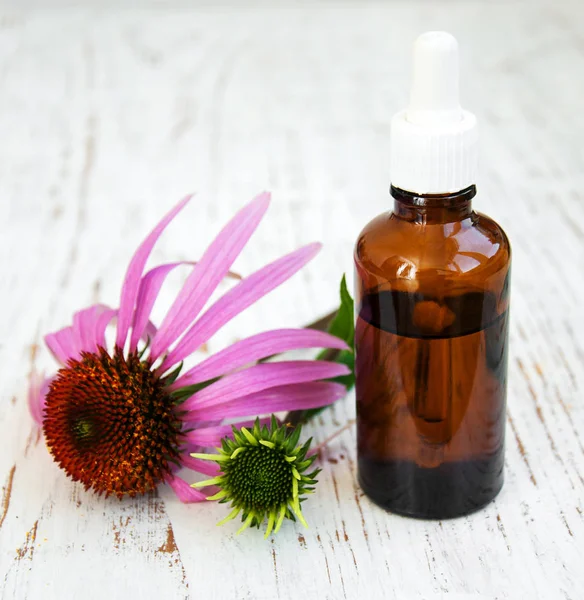 bottle with essence oil with purple echinacea