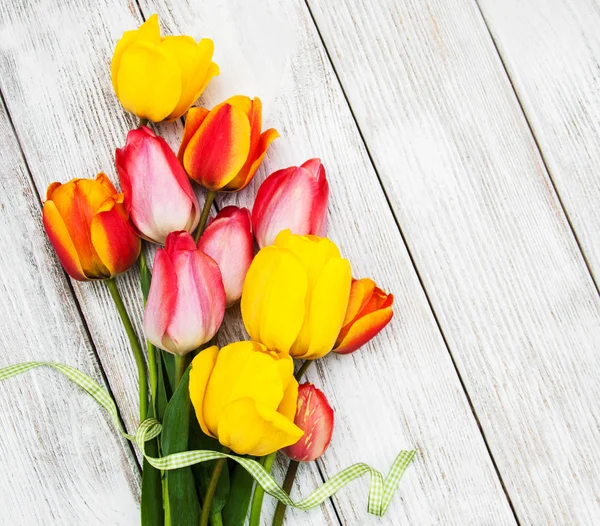Fleurs de tulipes de printemps — Photo
