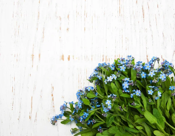 Forget me nots flowers — Stock Photo, Image