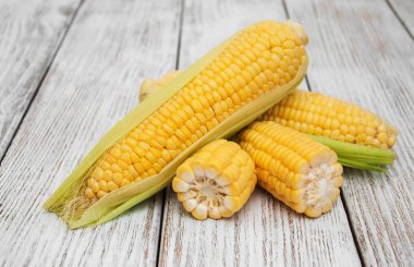 Koçanda taze mısır