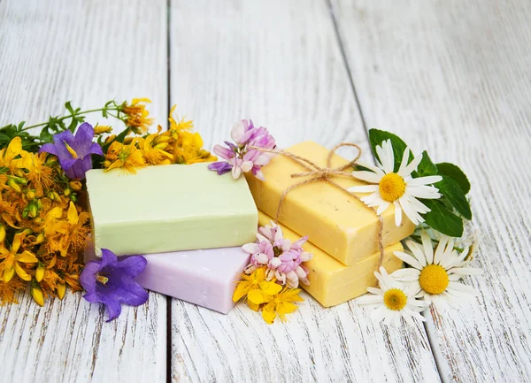 bitkisel tedavi - papatya, tutsan, sabun