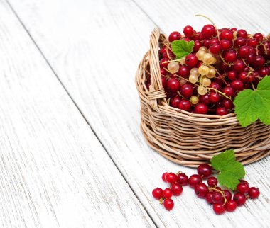 Sepet l kırmızı kuş üzümü ile