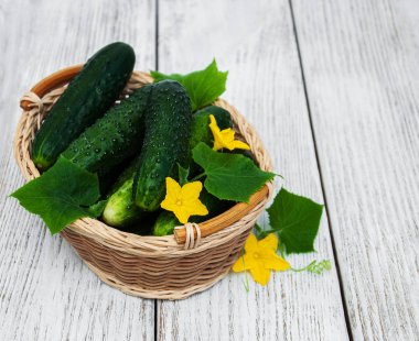 Bir tablo üzerinde taze salatalık