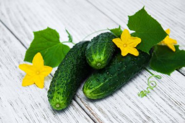 Bir tablo üzerinde taze salatalık