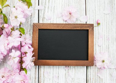 Sakura çiçeği ile yazı tahtası