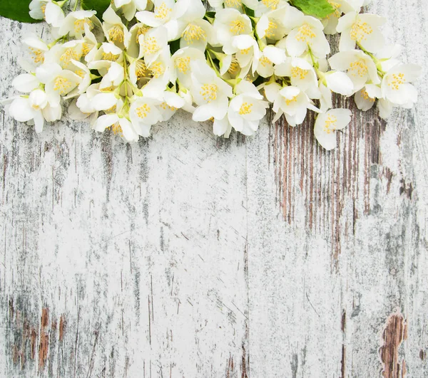 Frontera con flores de jazmín — Foto de Stock