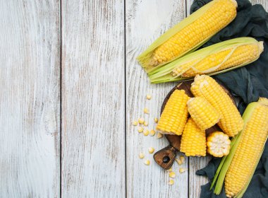 Koçanda taze mısır