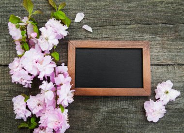 Sakura çiçeği ile yazı tahtası