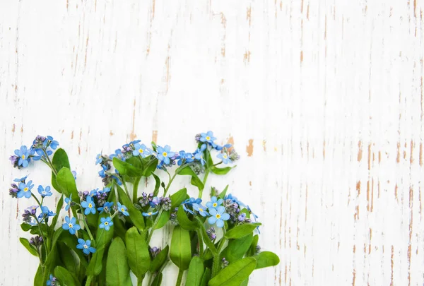 Olvídame no hay flores. — Foto de Stock