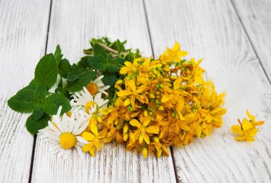 Ahşap arka planda taze bitkiler