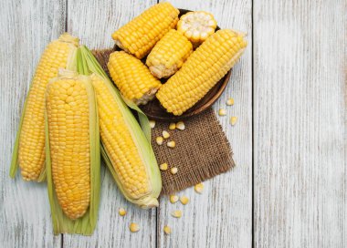 Koçanda taze mısır