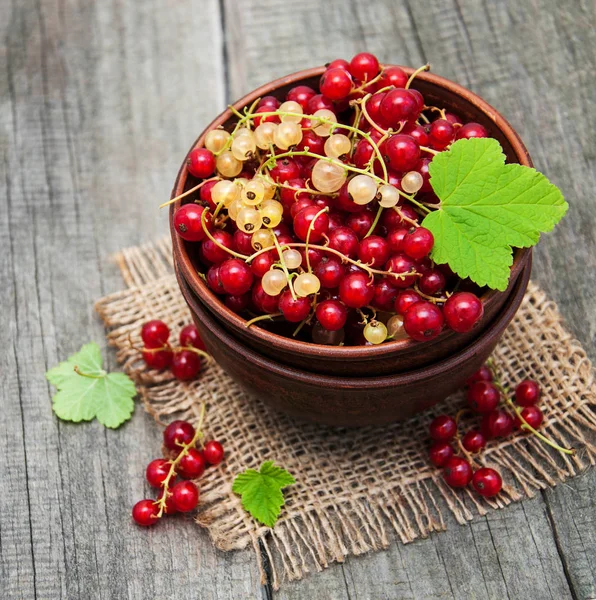 Frenk üzümü ile kase