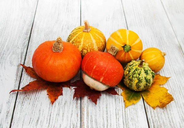 kabaklar ve yaprakları