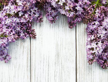 Bir masaya Lila çiçek