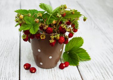 Yaban çilekleri fincanla