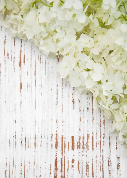 White hydrangea on a table — Stock Photo, Image