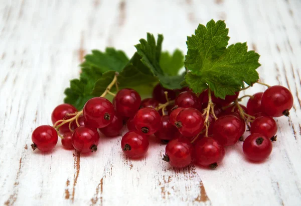 taze kırmızı kuş üzümü