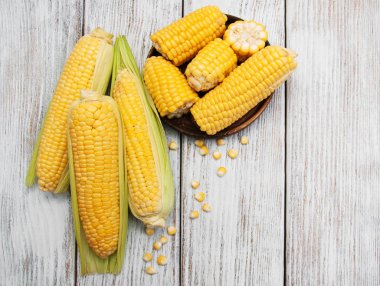 Koçanda taze mısır