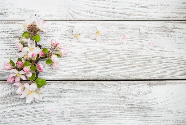 春のリンゴの花 — ストック写真