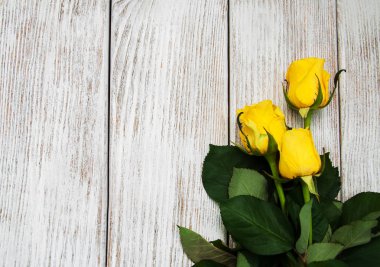 Bir tablo üzerinde Sarı Gül