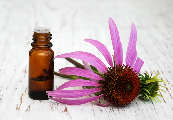 Flasche mit ätherischem Öl mit violettem Echinacea — Stockfoto