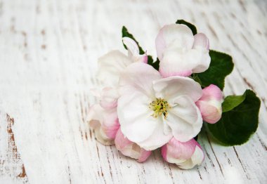 Elma çiçeği bir tablo