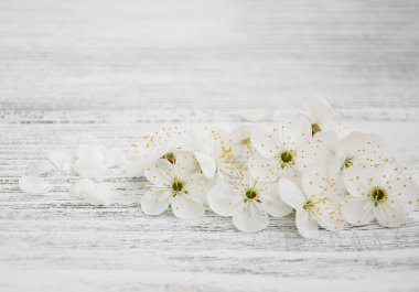 Bahar kiraz çiçeği