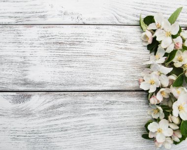 Bahar elma çiçeği