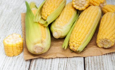 Koçanda taze mısır