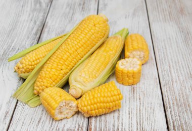 Koçanda taze mısır