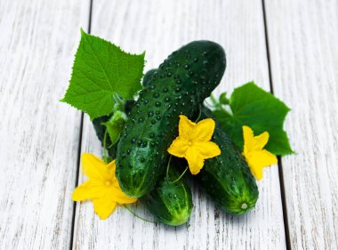 Bir tablo üzerinde taze salatalık